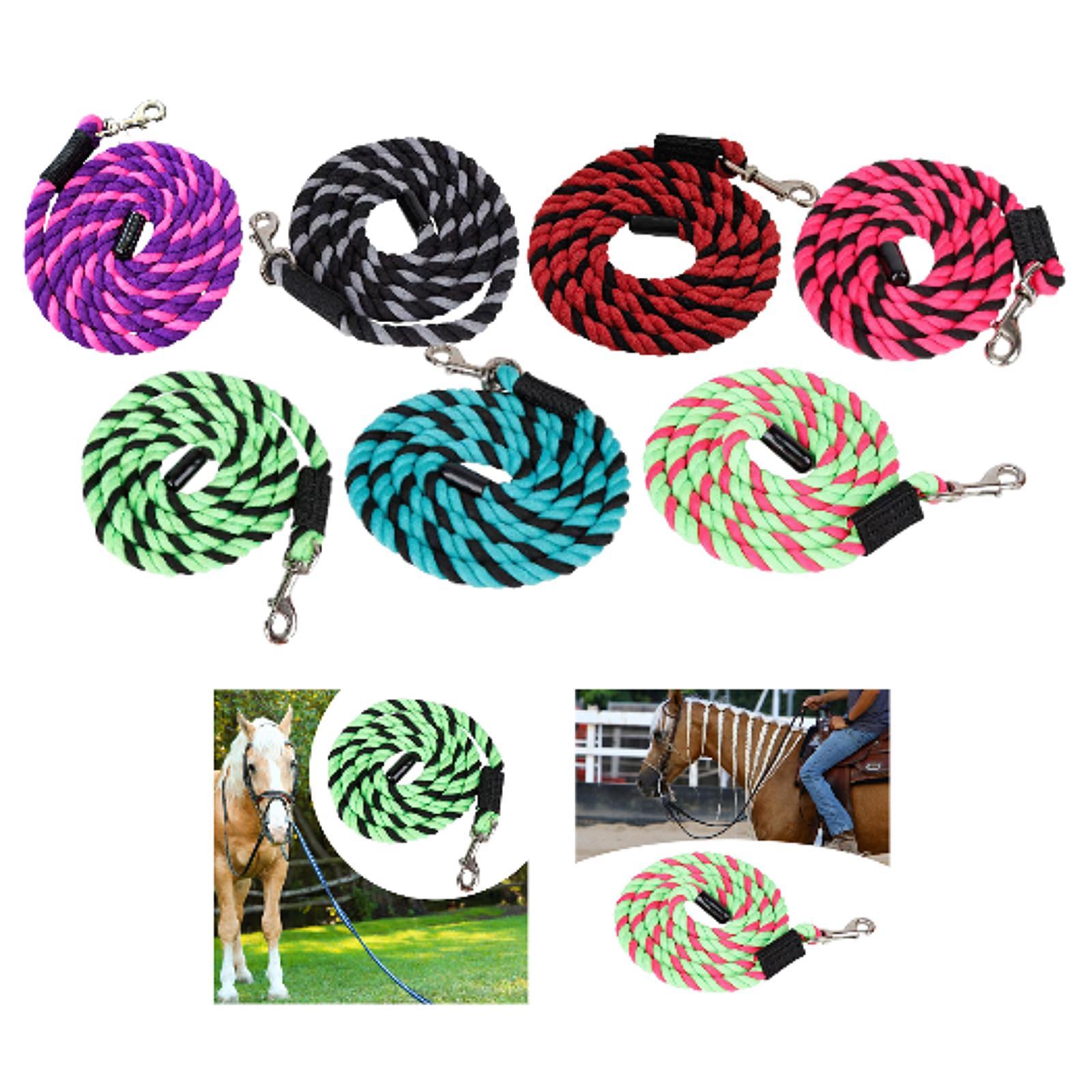 Corda per guida cavalli con mo - Lunge Line Horse recensione e prezzo