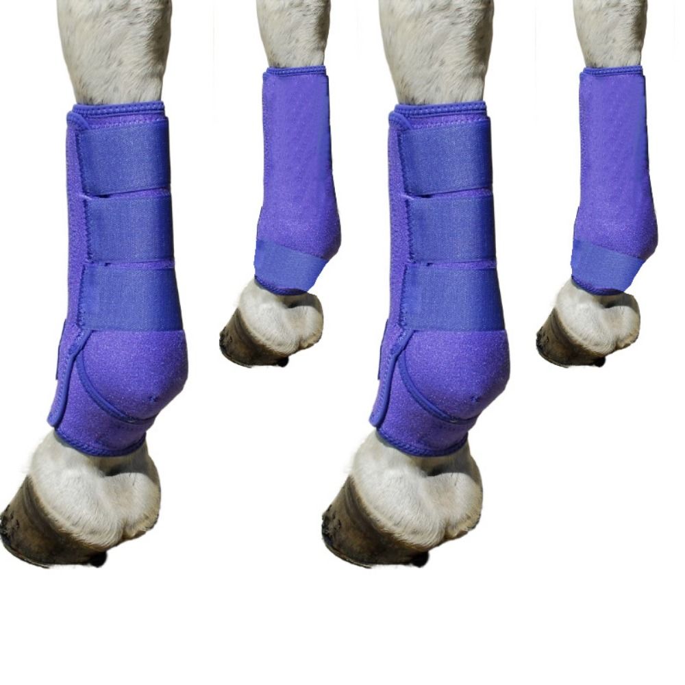 Set di 4 stivali sportivi colo - Brushing Boot Horse recensione e prezzo
