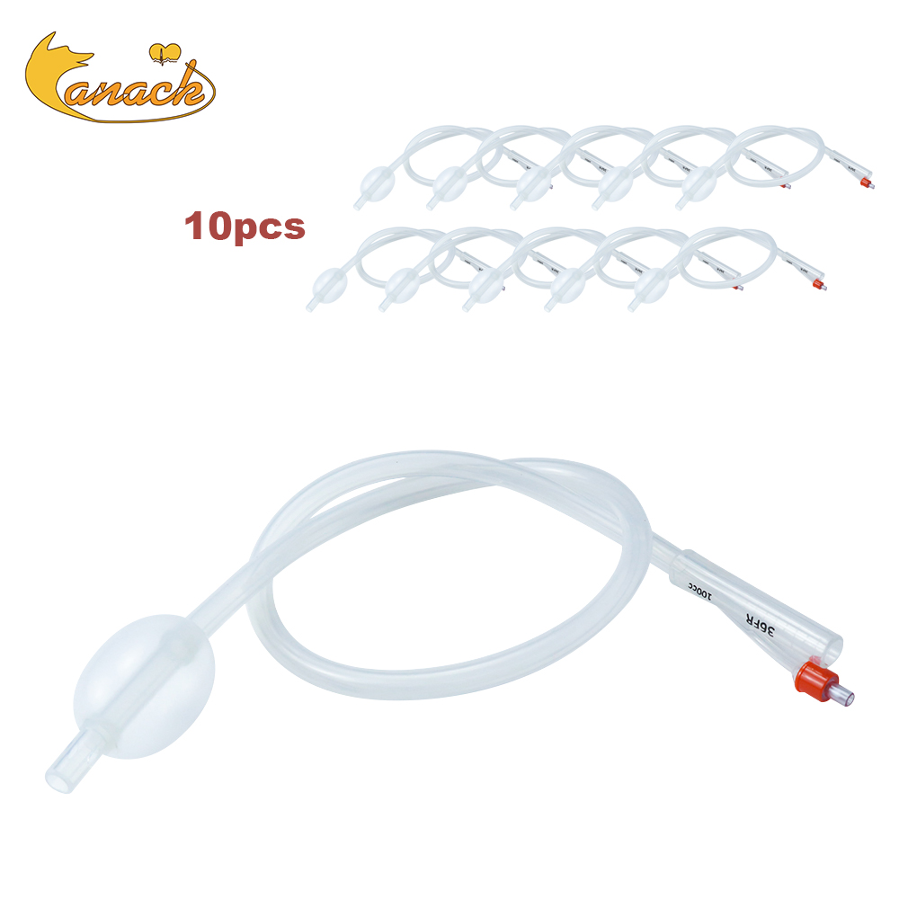 10 Pezzi Catetere per Insemina - Lunge Line Horse recensione e prezzo